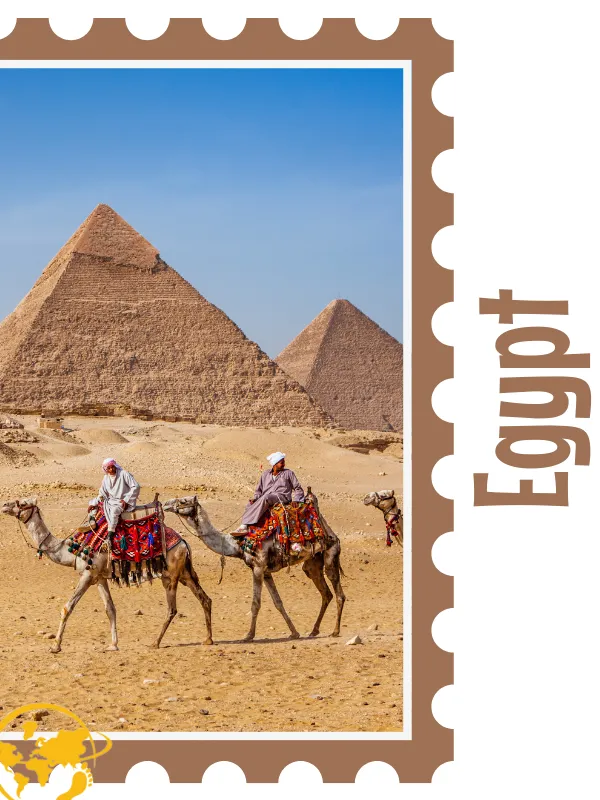 Feed the Elephants in the Signature Safari Adventure Tour