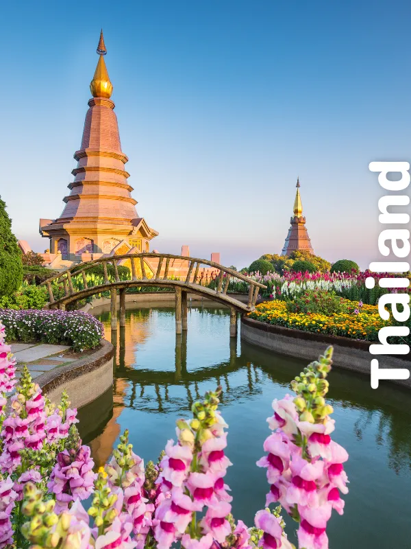 Feed the Elephants in the Signature Safari Adventure Tour