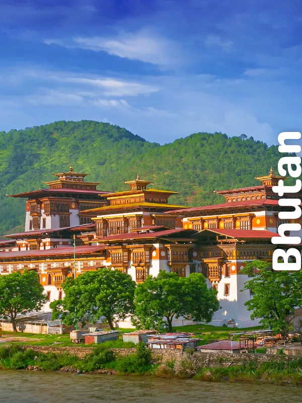 Feed the Elephants in the Signature Safari Adventure Tour