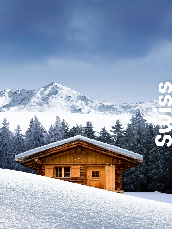 Feed the Elephants in the Signature Safari Adventure Tour